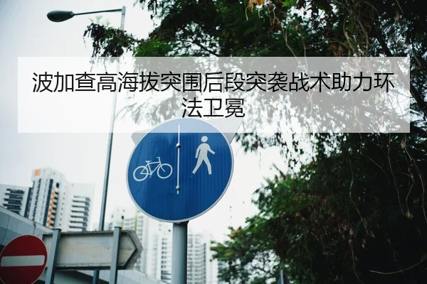 波加查高海拔突围后段突袭战术助力环法卫冕