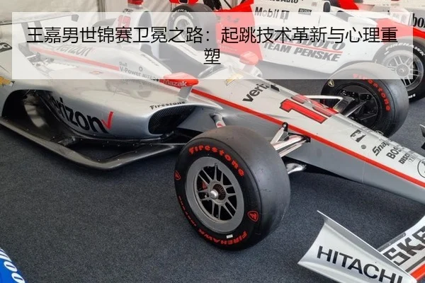 wang-jia-nan-shi-jin-sai-wei-mian-zhi-lu-qi-tiao-ji-shu-ge-xin-yu-xin-li-zhong-su-2-512.jpg