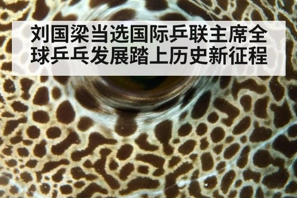 刘国梁当选国际乒联主席全球乒乓发展踏上历史新征程